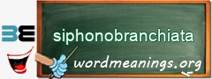 WordMeaning blackboard for siphonobranchiata